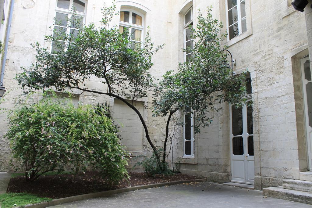 Studio Des Halles Apartment Avignon Bagian luar foto
